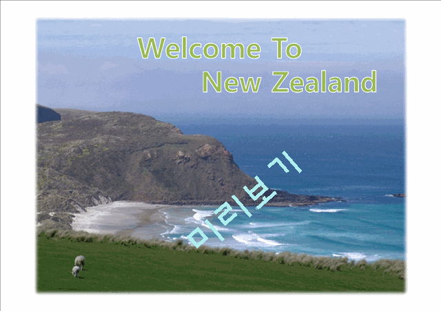 Welcome To New Zealand   (1 )